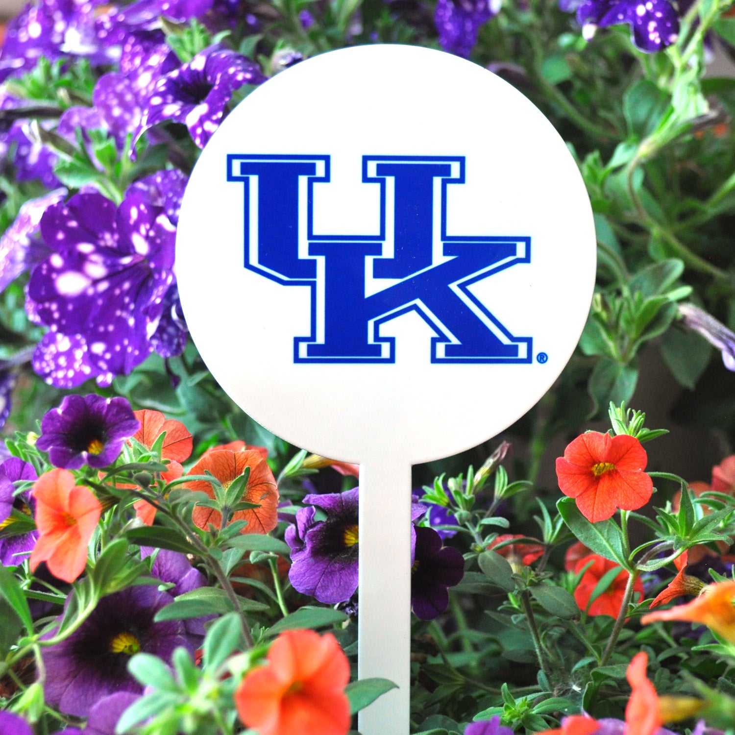 Kentucky Wildcats White Steel Garden Stake