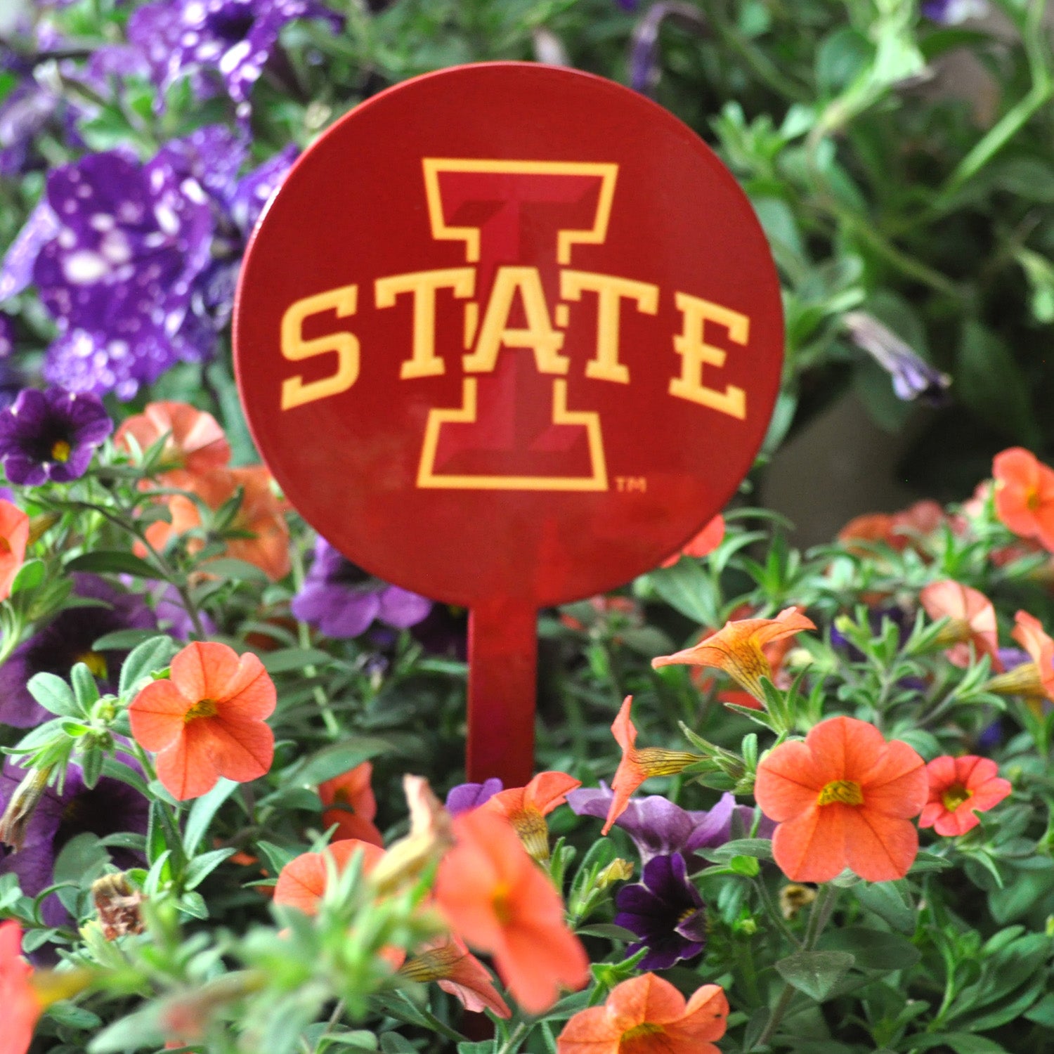 Iowa State Cyclones Red Steel Garden Stake