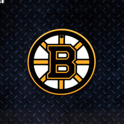 Boston Bruins Steel Super Magnet