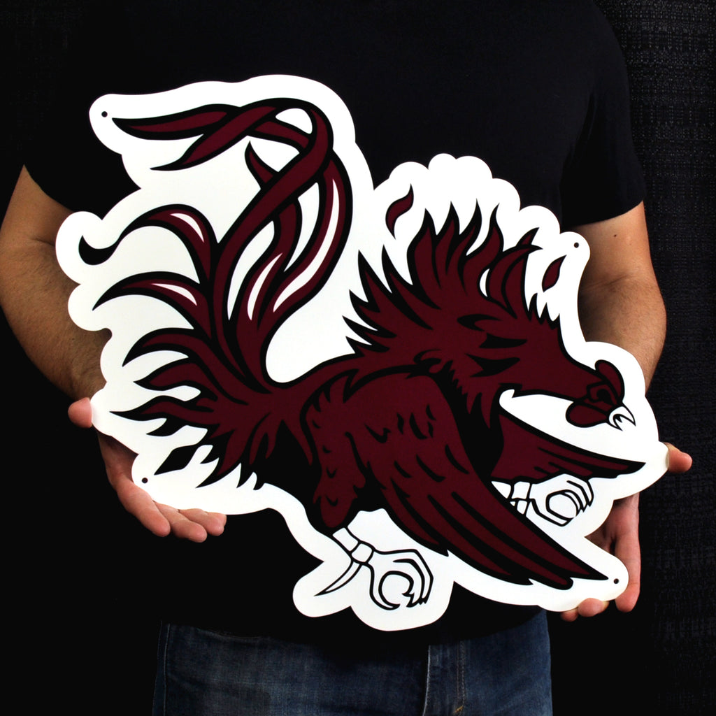 South Carolina Gamecocks 24