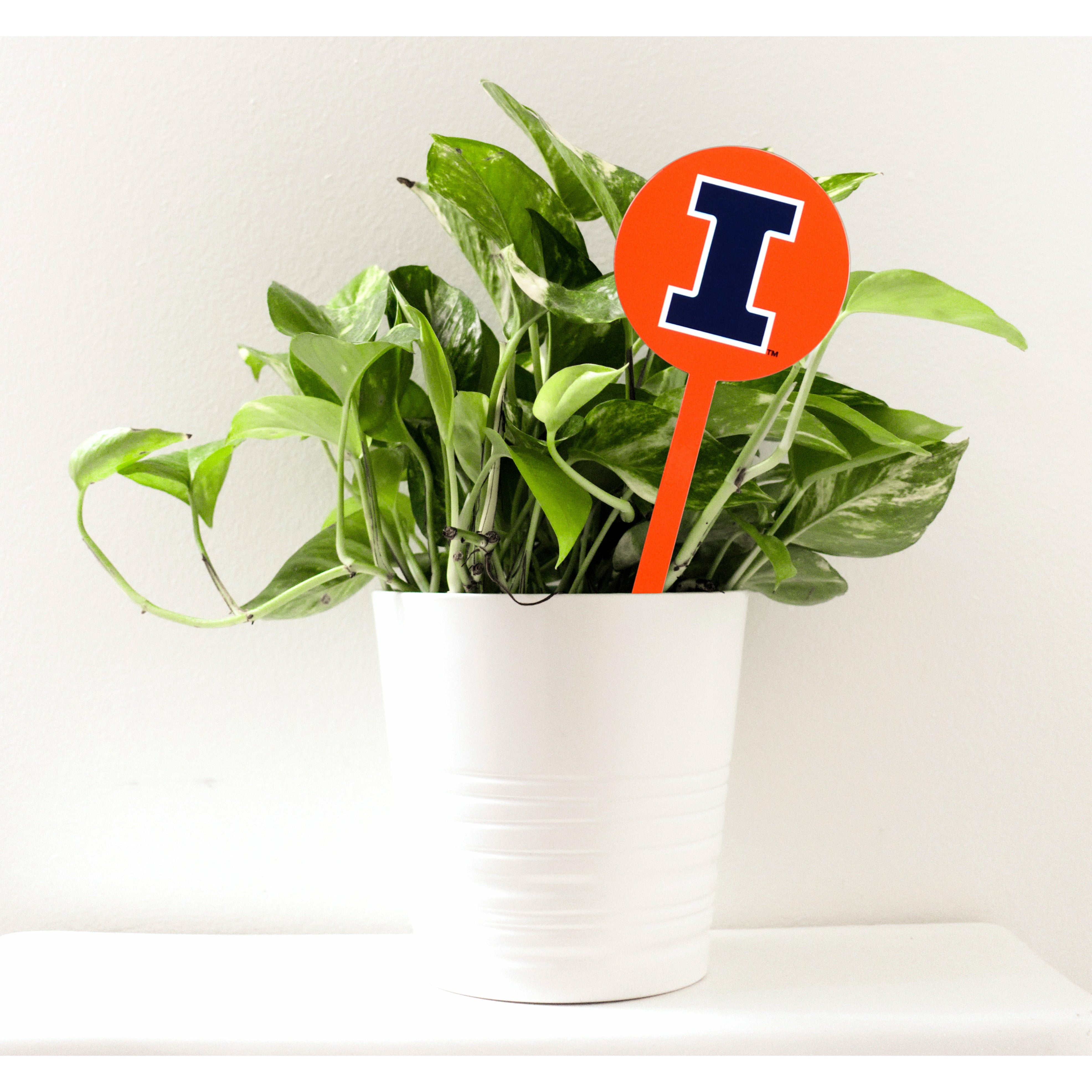 Illinois Fighting Illini Orange Steel Garden Stake