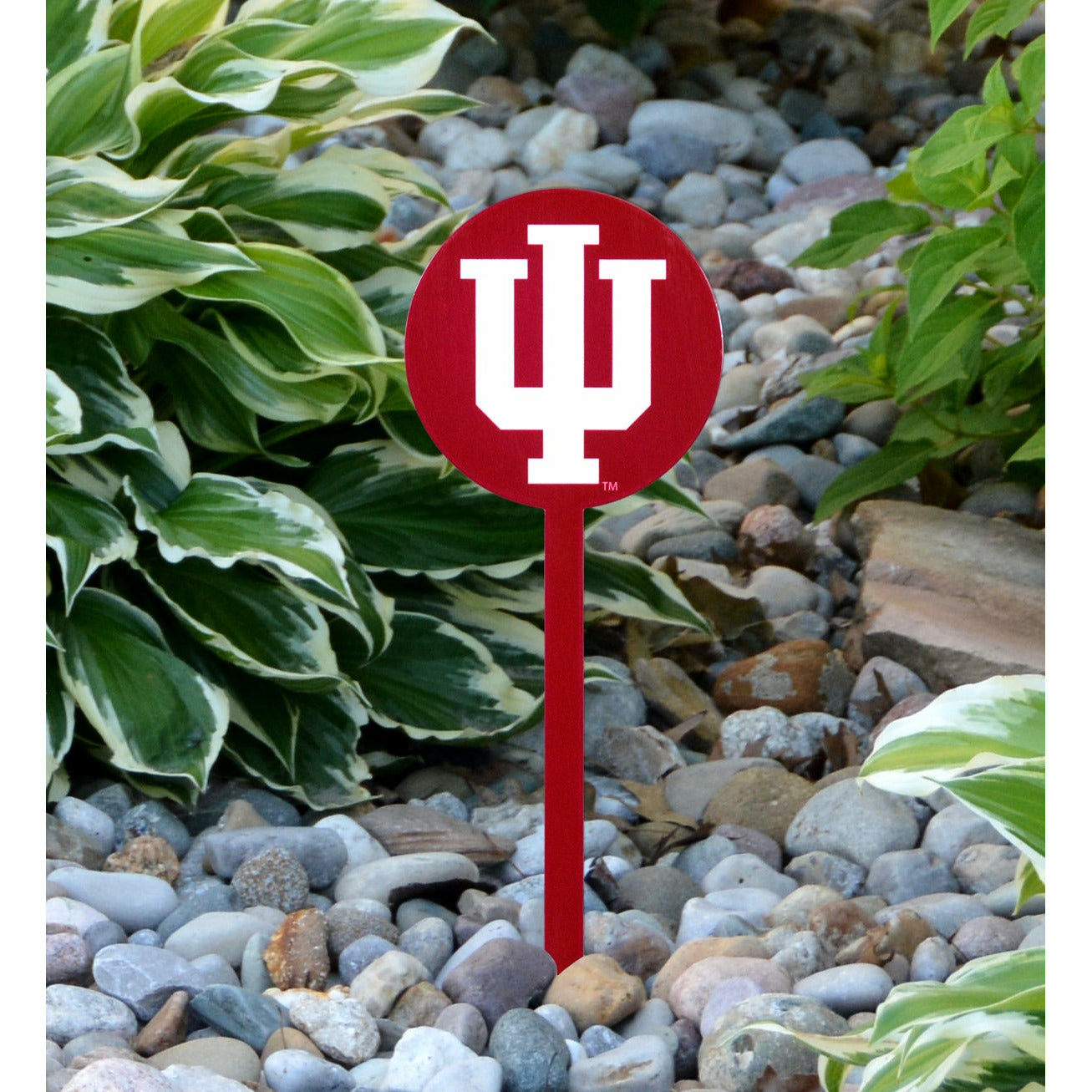 Indiana Hoosiers Red Steel Garden Stake
