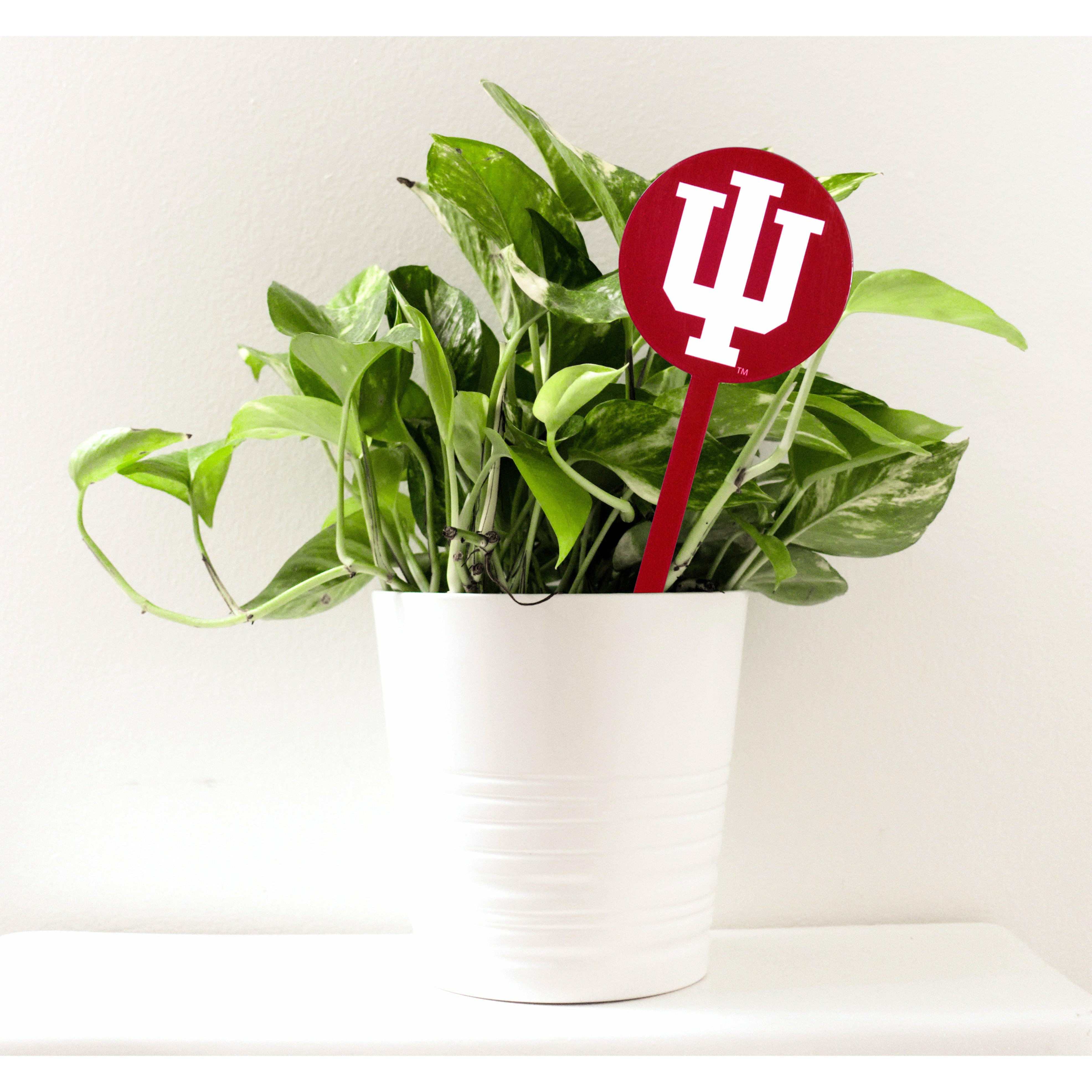 Indiana Hoosiers Red Steel Garden Stake