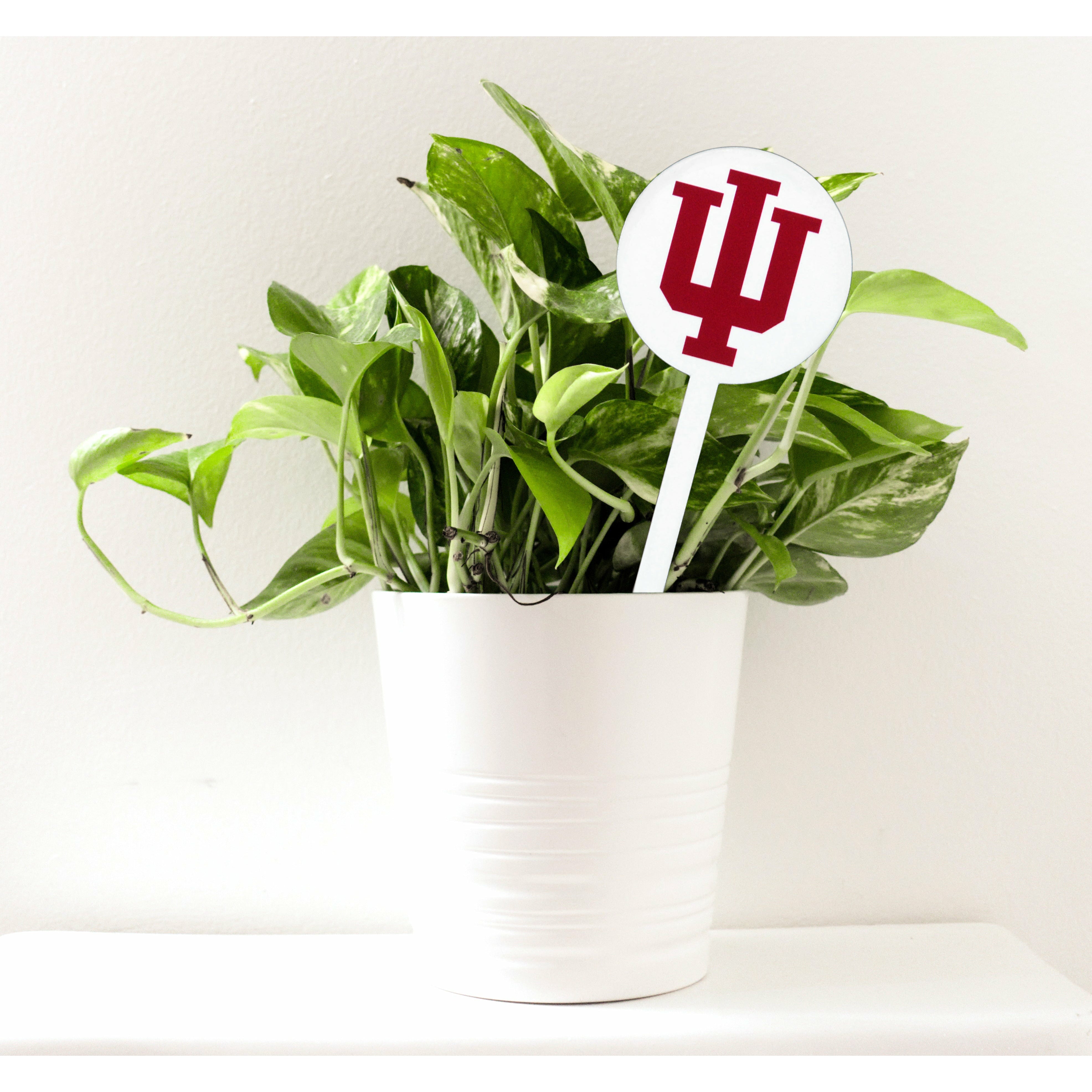 Indiana Hoosiers White Steel Garden Stake