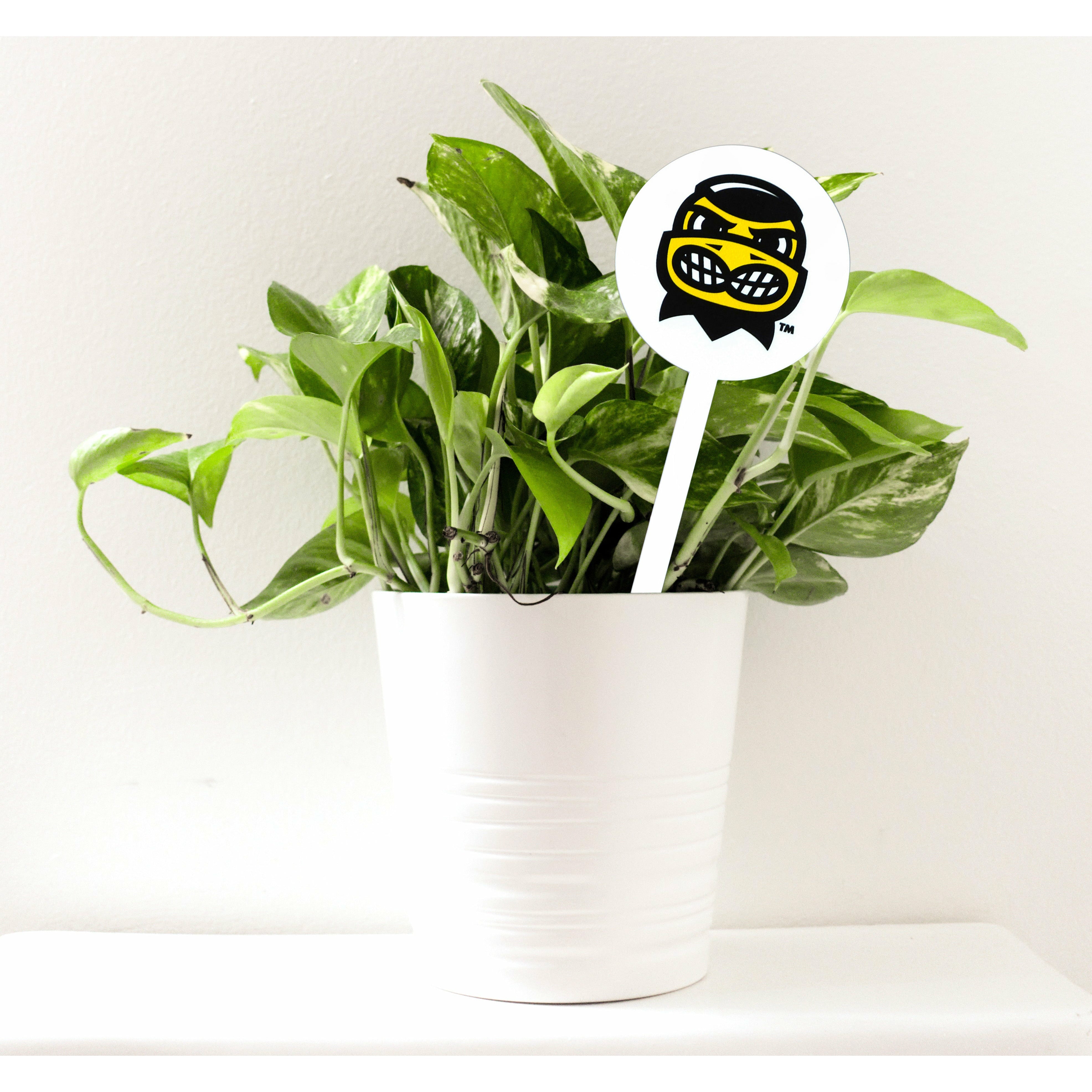 Iowa Hawkeyes Herkey Steel Garden Stake