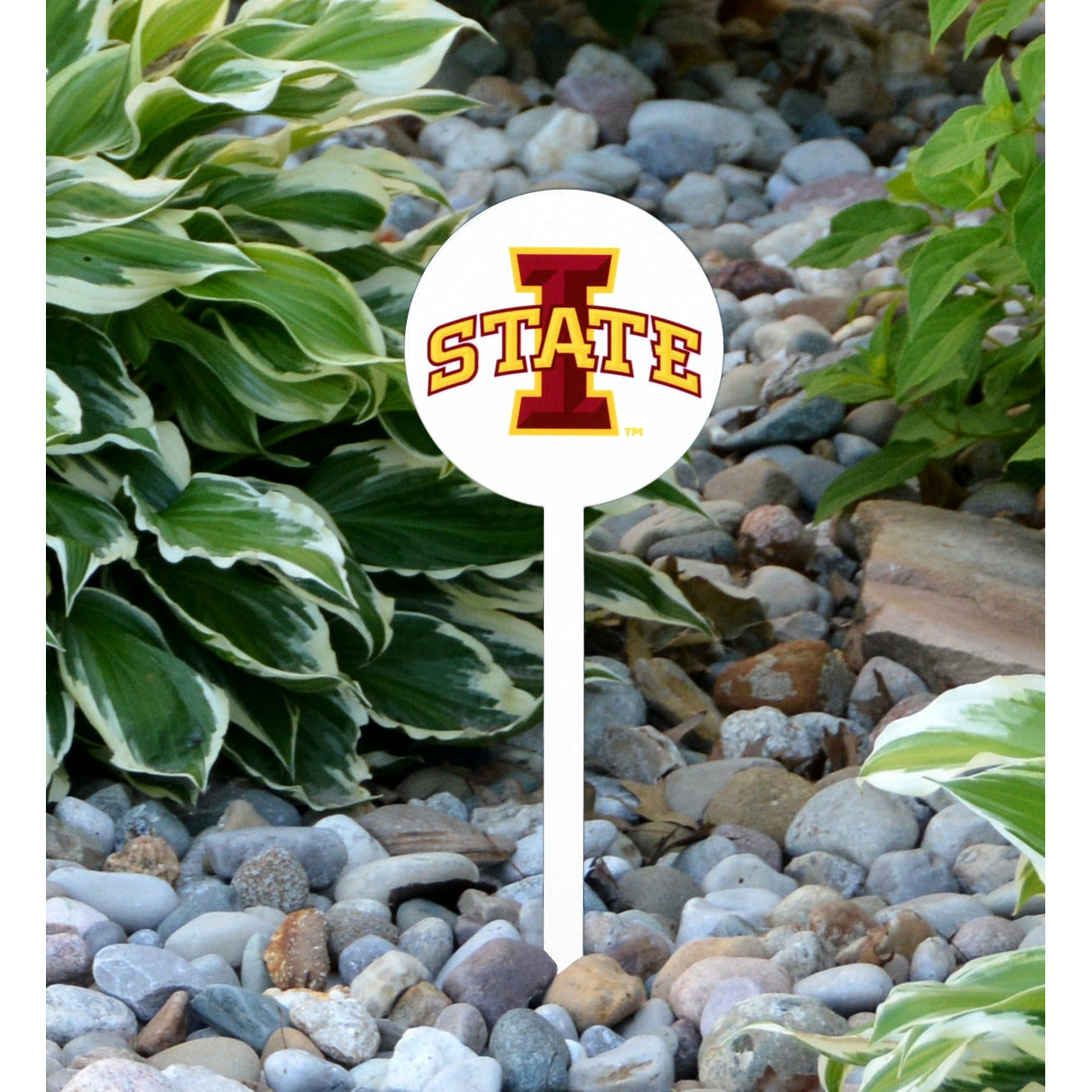 Iowa State Cyclones White Steel Garden Stake