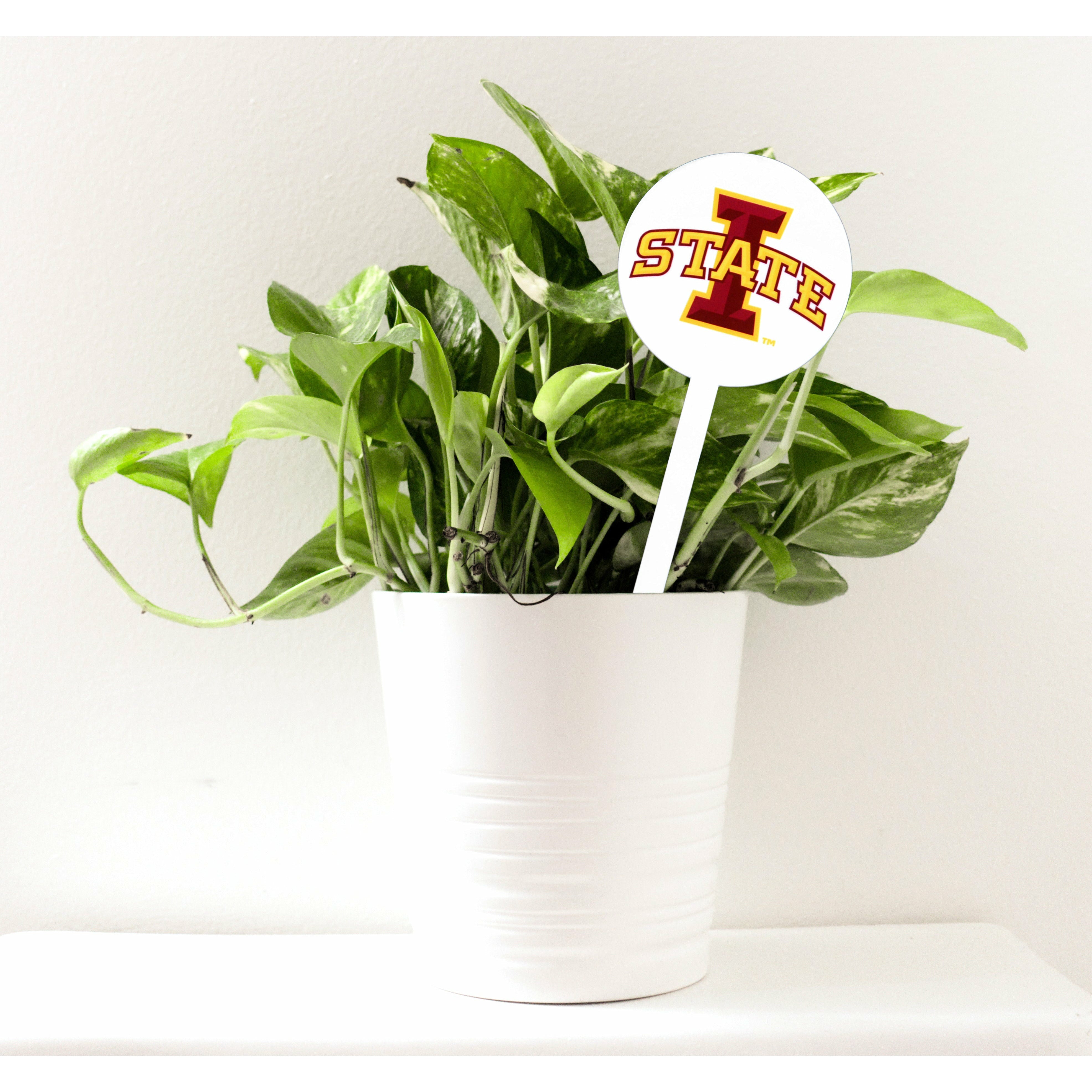 Iowa State Cyclones White Steel Garden Stake