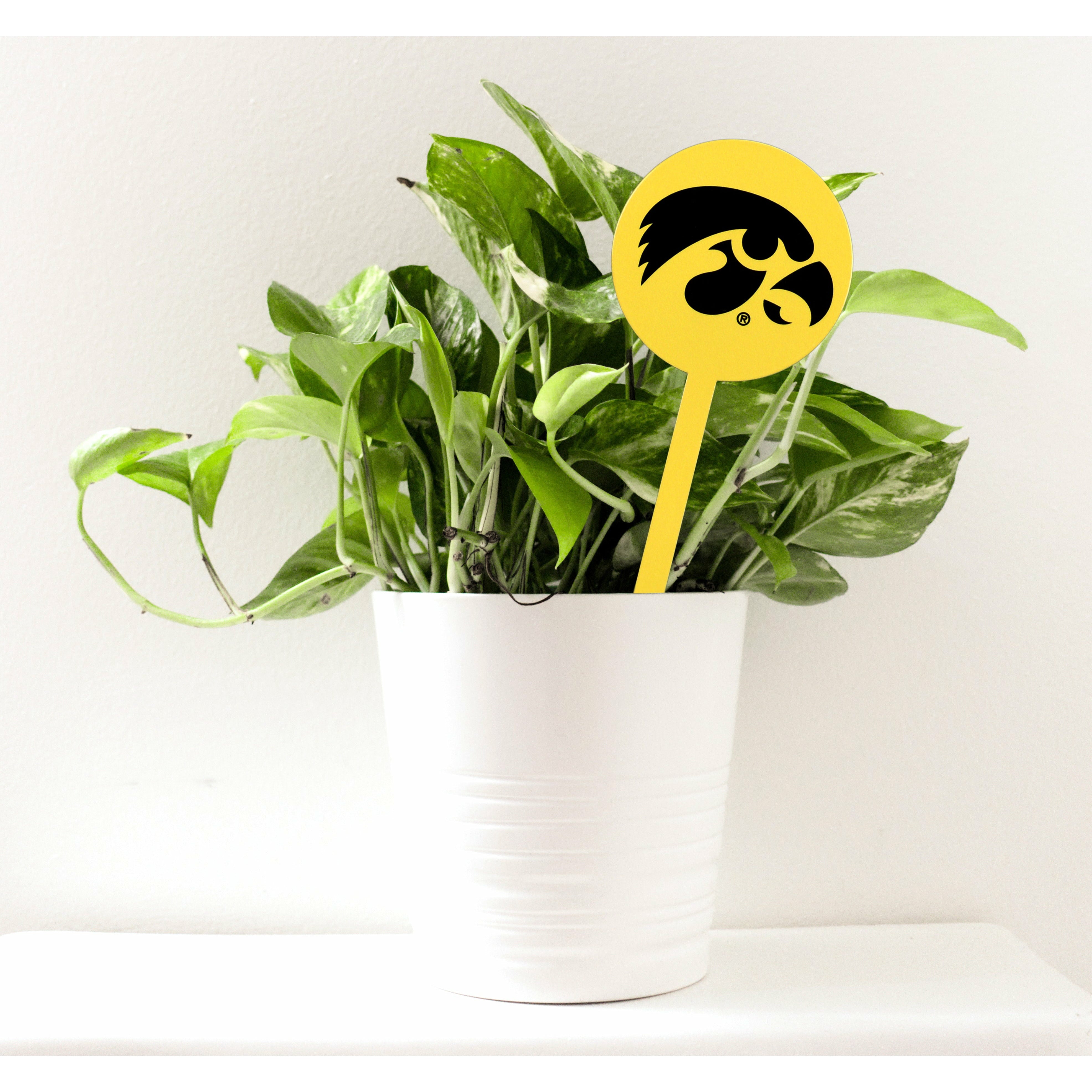 Iowa Hawkeyes Yellow Steel Garden Stake