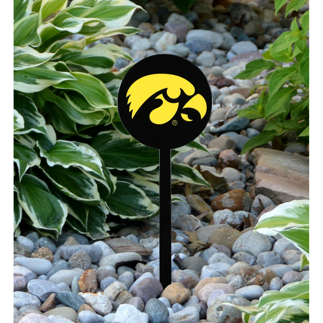 Iowa Hawkeyes Black Steel Garden Stake