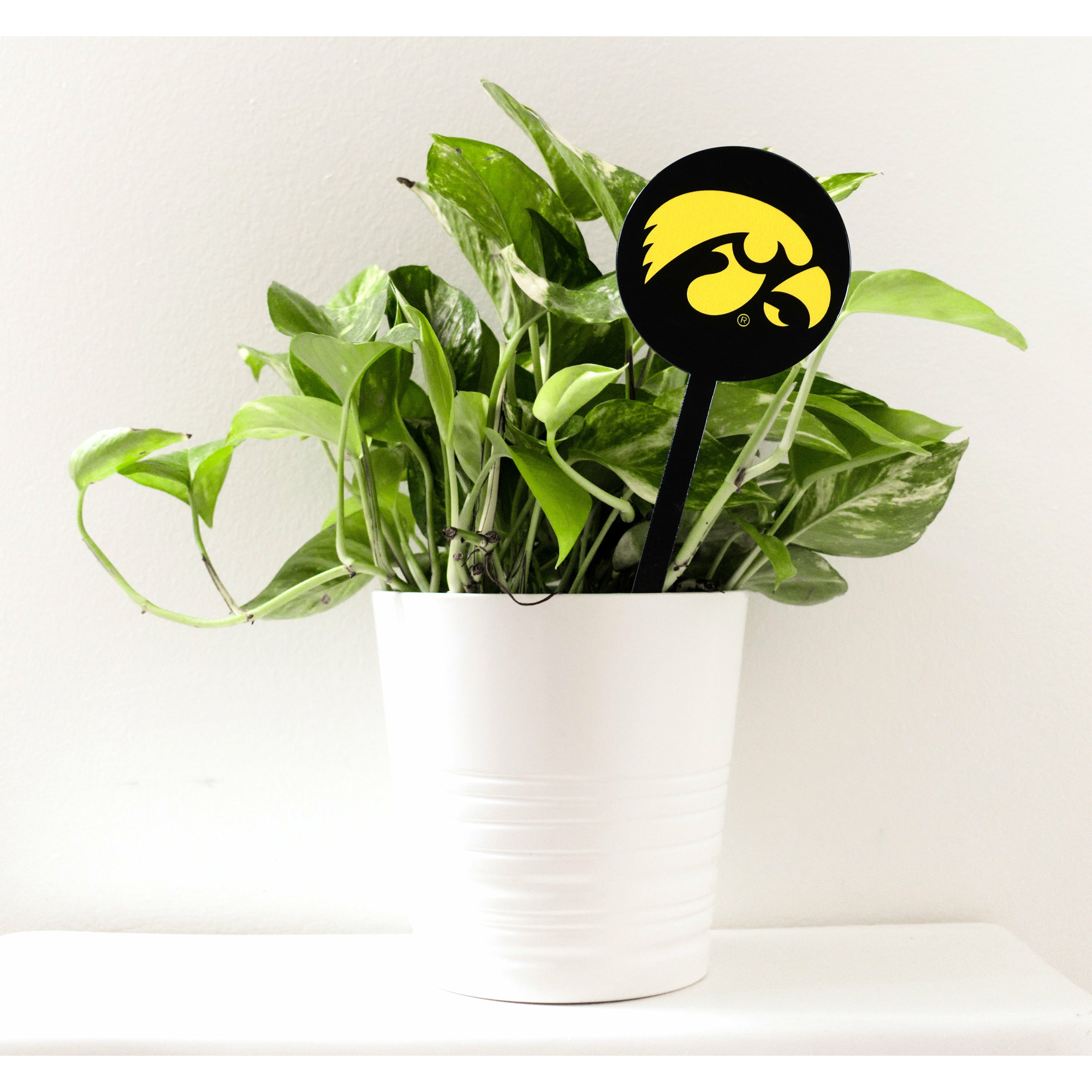 Iowa Hawkeyes Black Steel Garden Stake