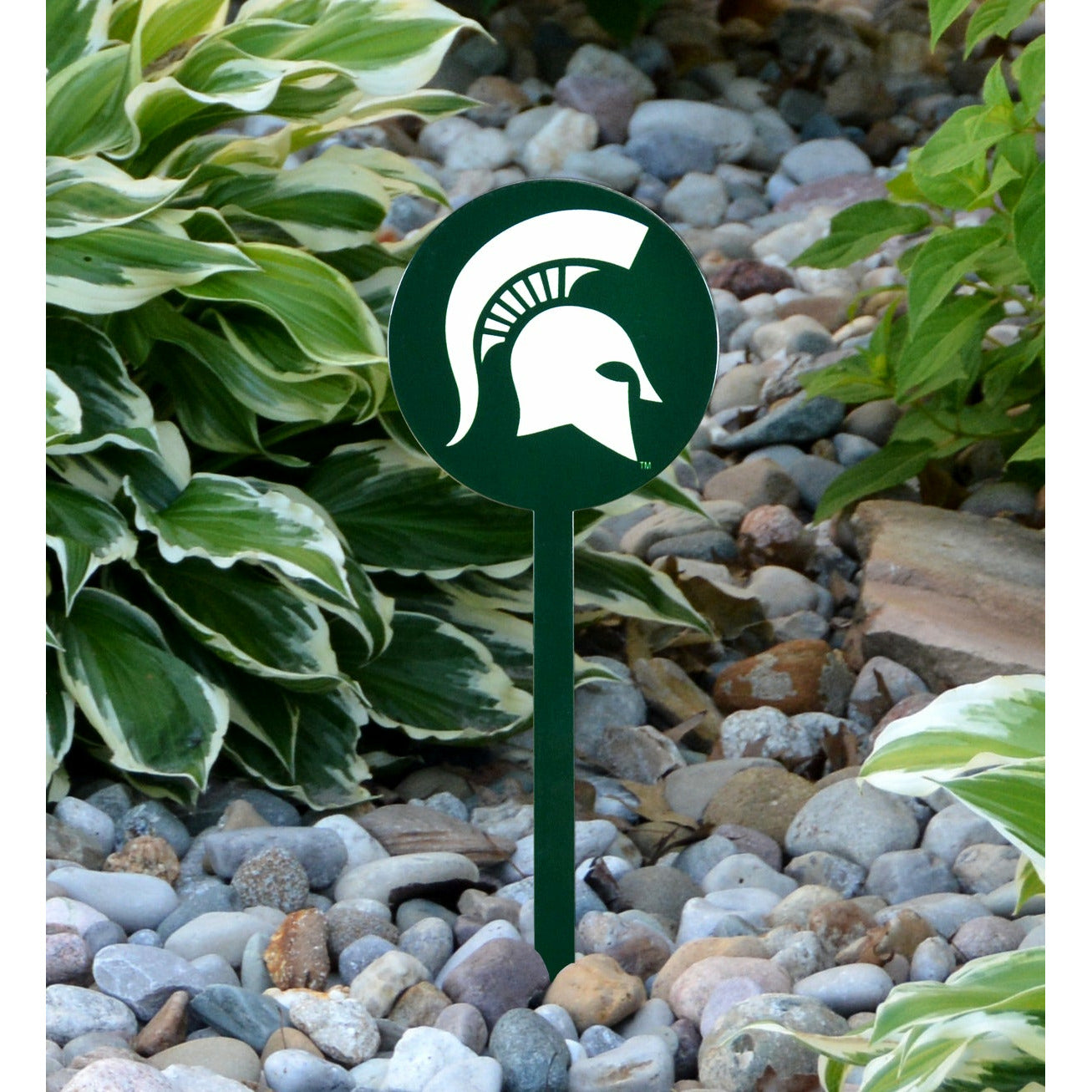 Michigan State Spartans Green Steel Garden Stake
