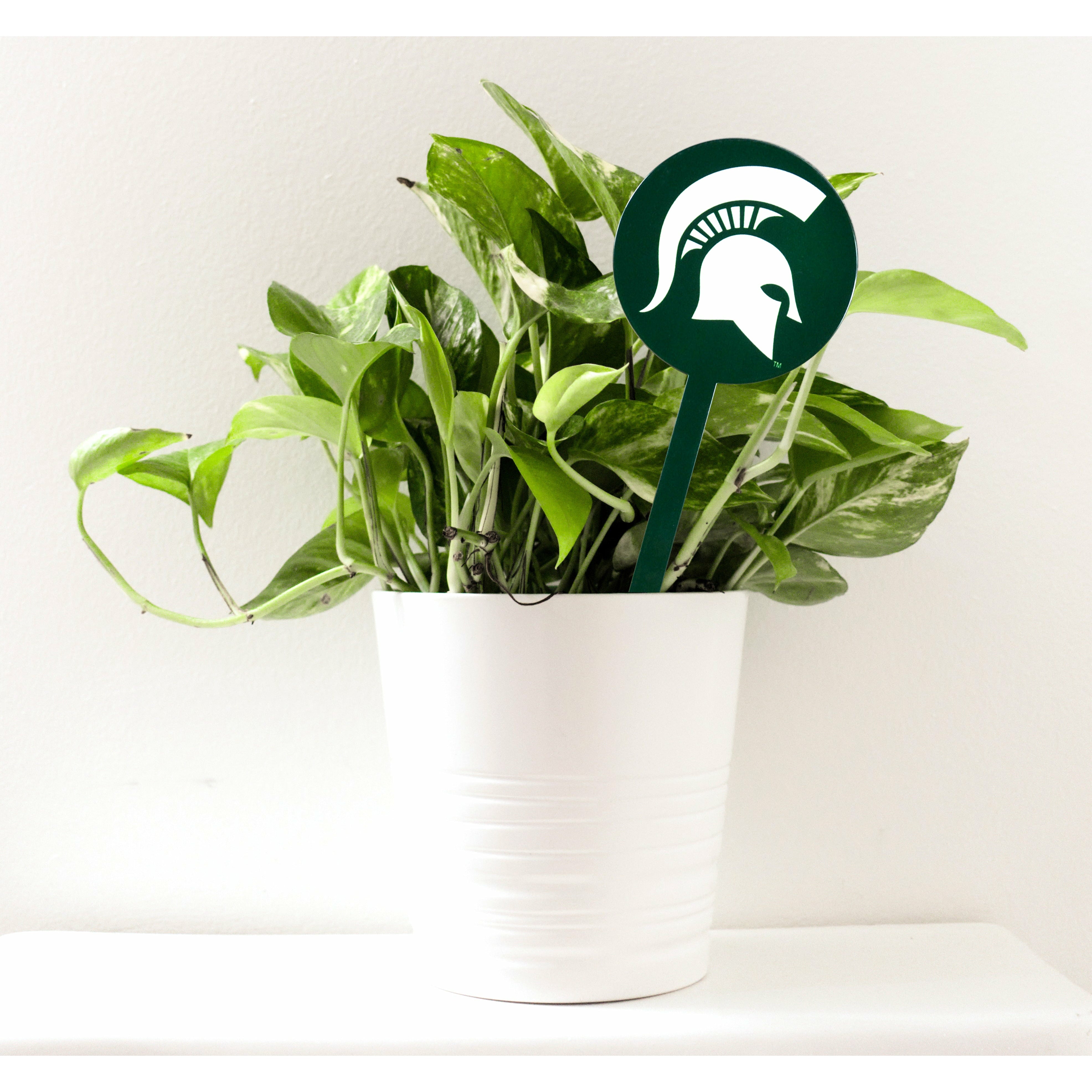 Michigan State Spartans Green Steel Garden Stake