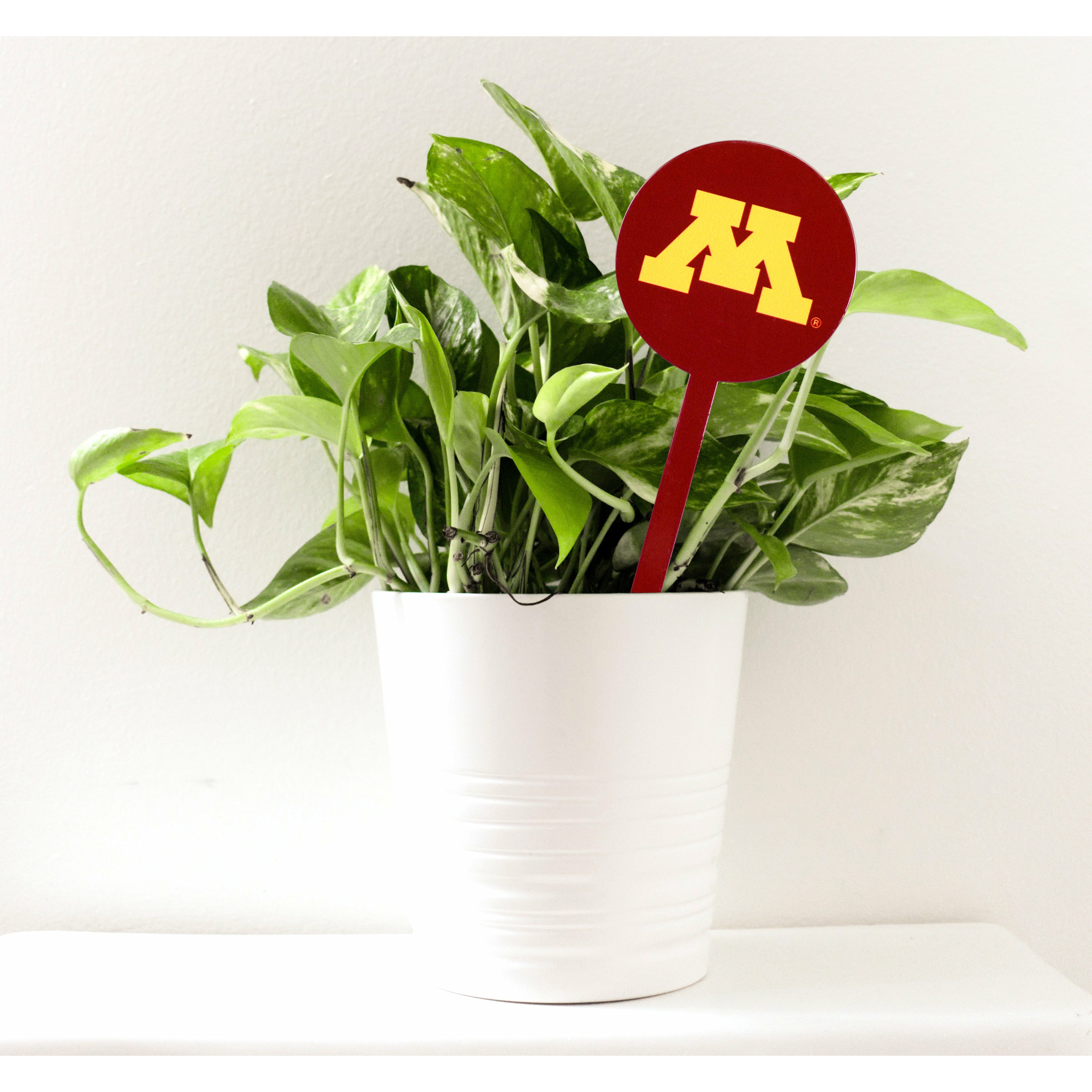 Minnesota Golden Gophers Maroon Steel Garden Stake