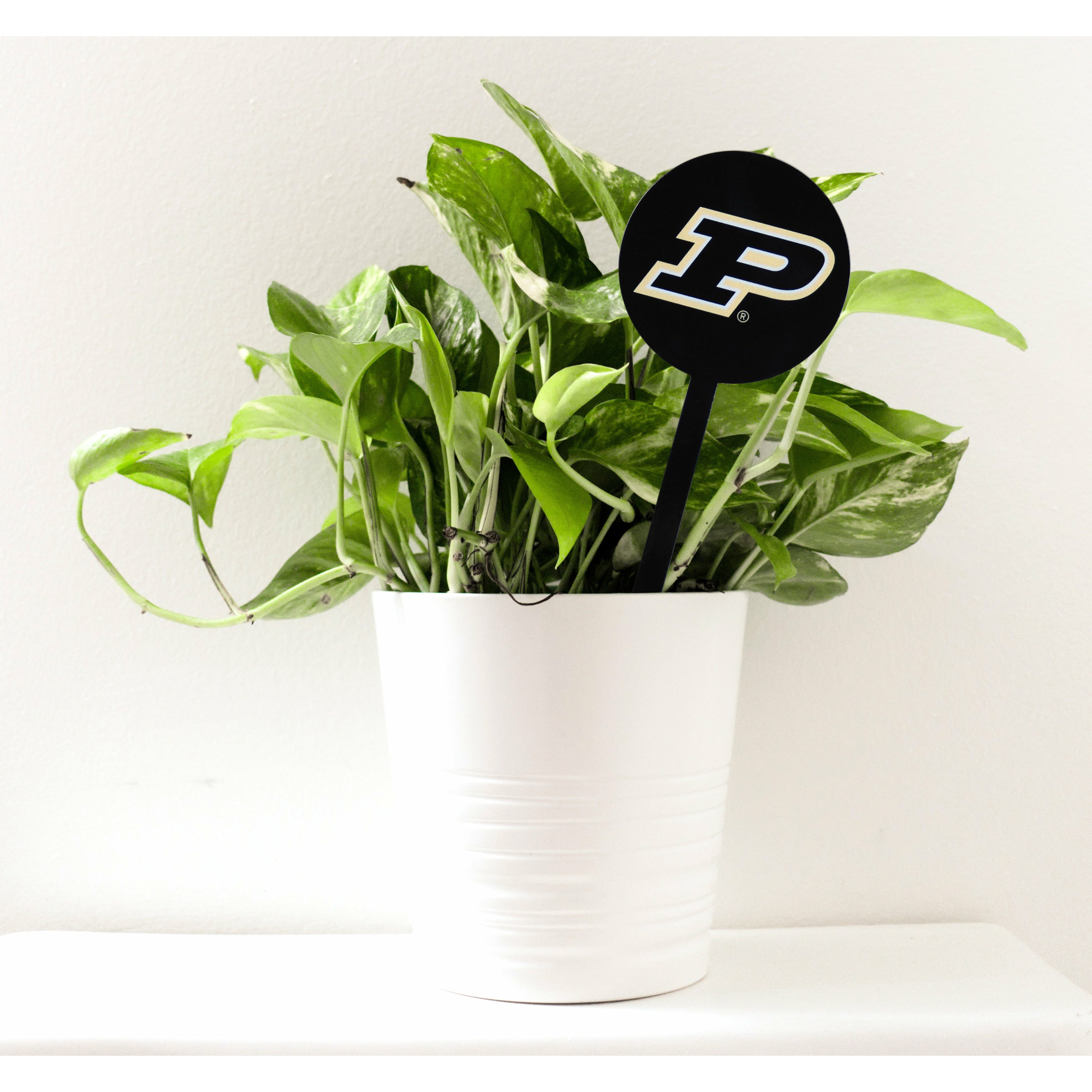 Purdue Boilermakers Black Steel Garden Stake