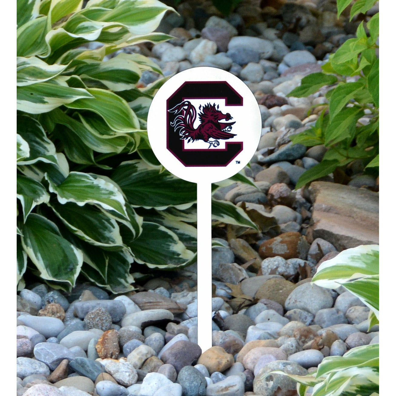 South Carolina Gamecocks White Steel Garden Stake