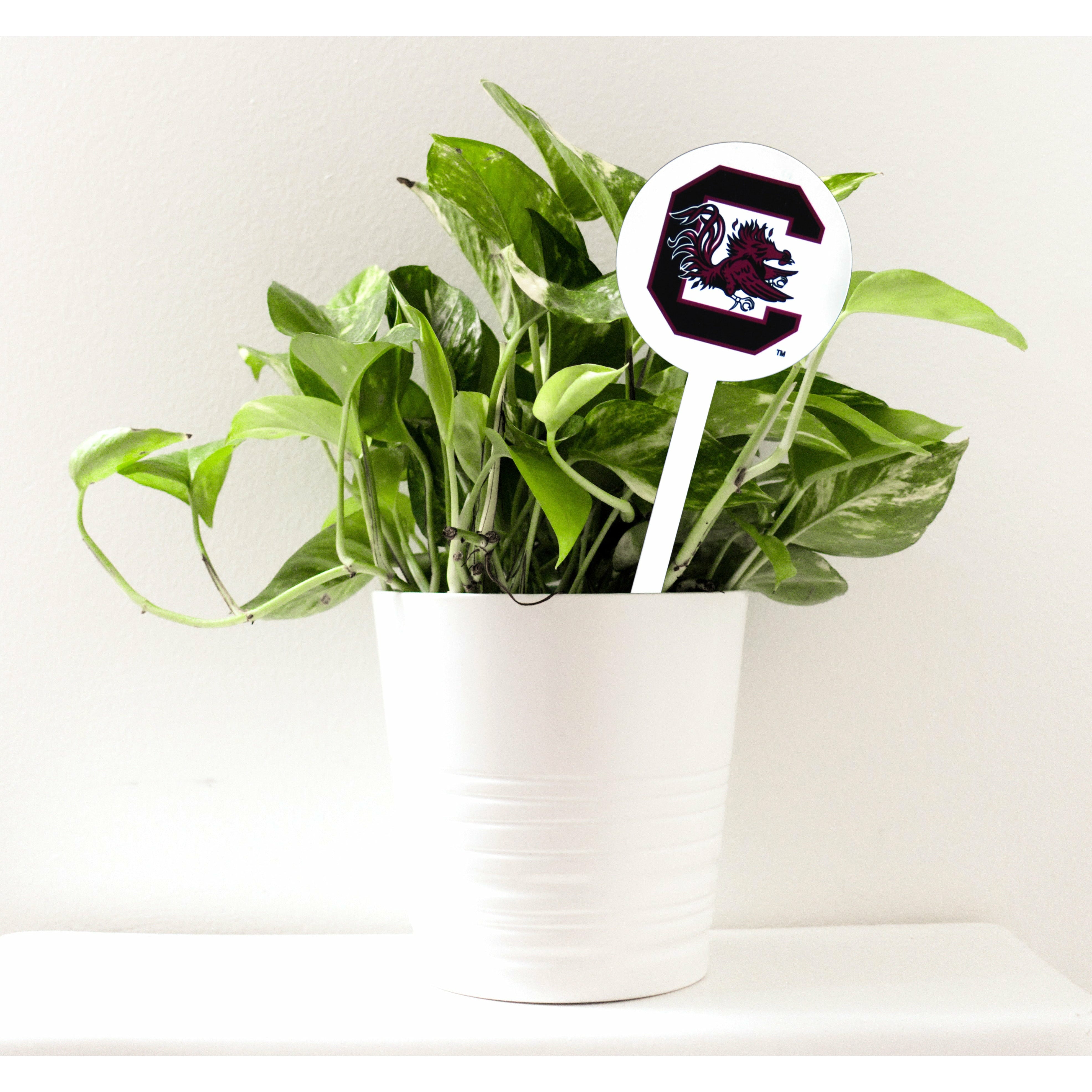 South Carolina Gamecocks White Steel Garden Stake