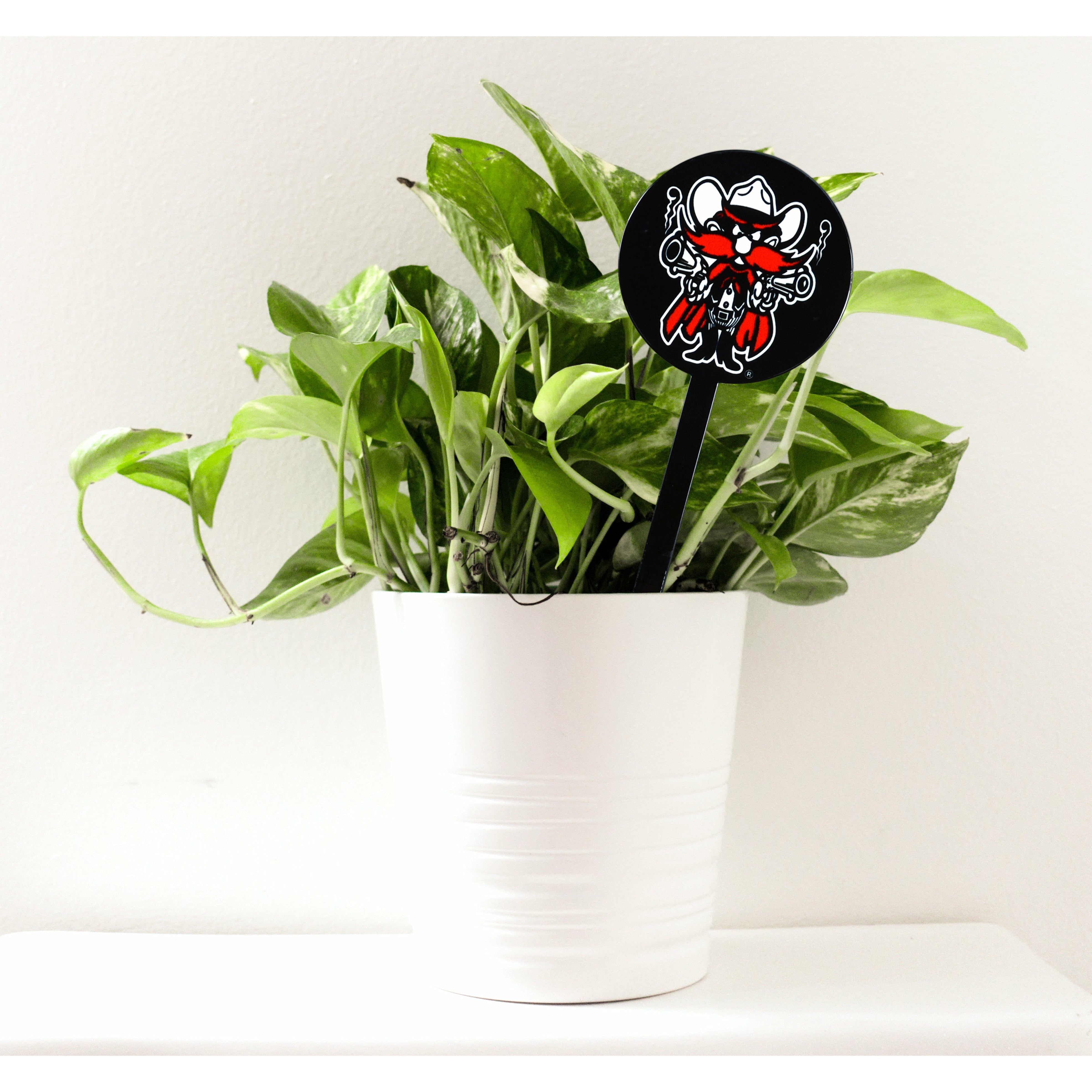 Texas Tech Red Raiders Black Steel Garden Stake