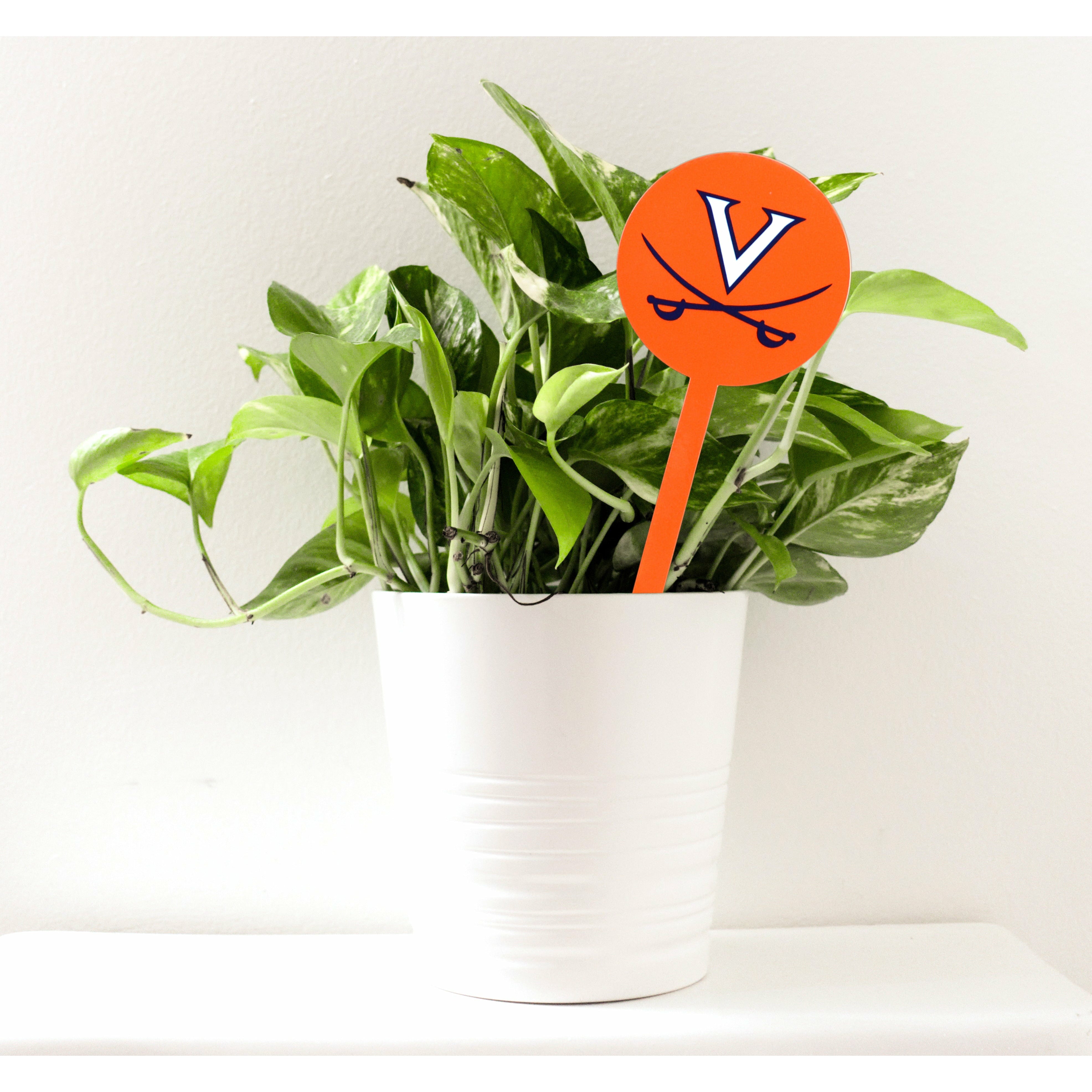 Virginia Cavaliers Orange Steel Garden Stake
