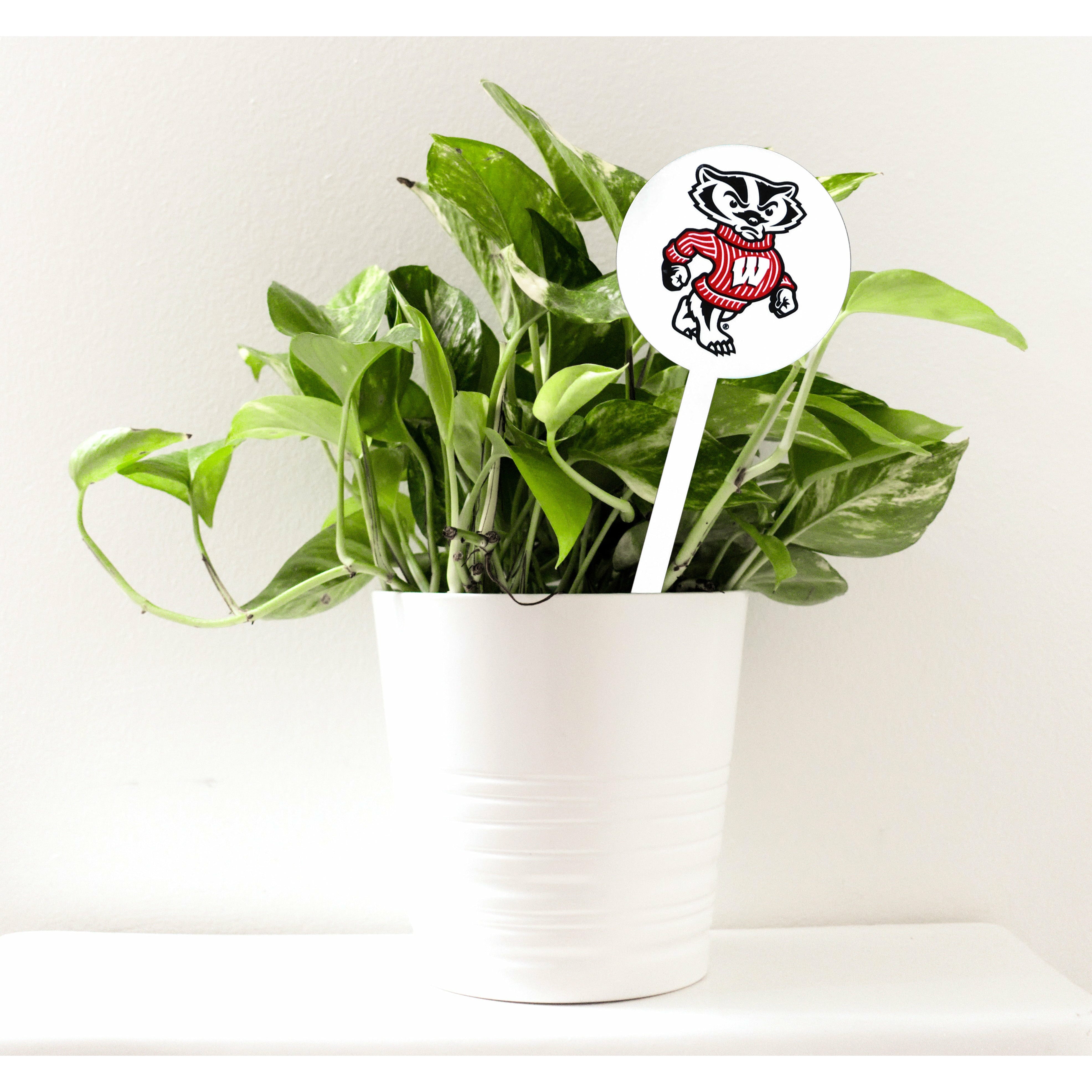 Wisconsin Badgers Bucky Steel Garden Stake