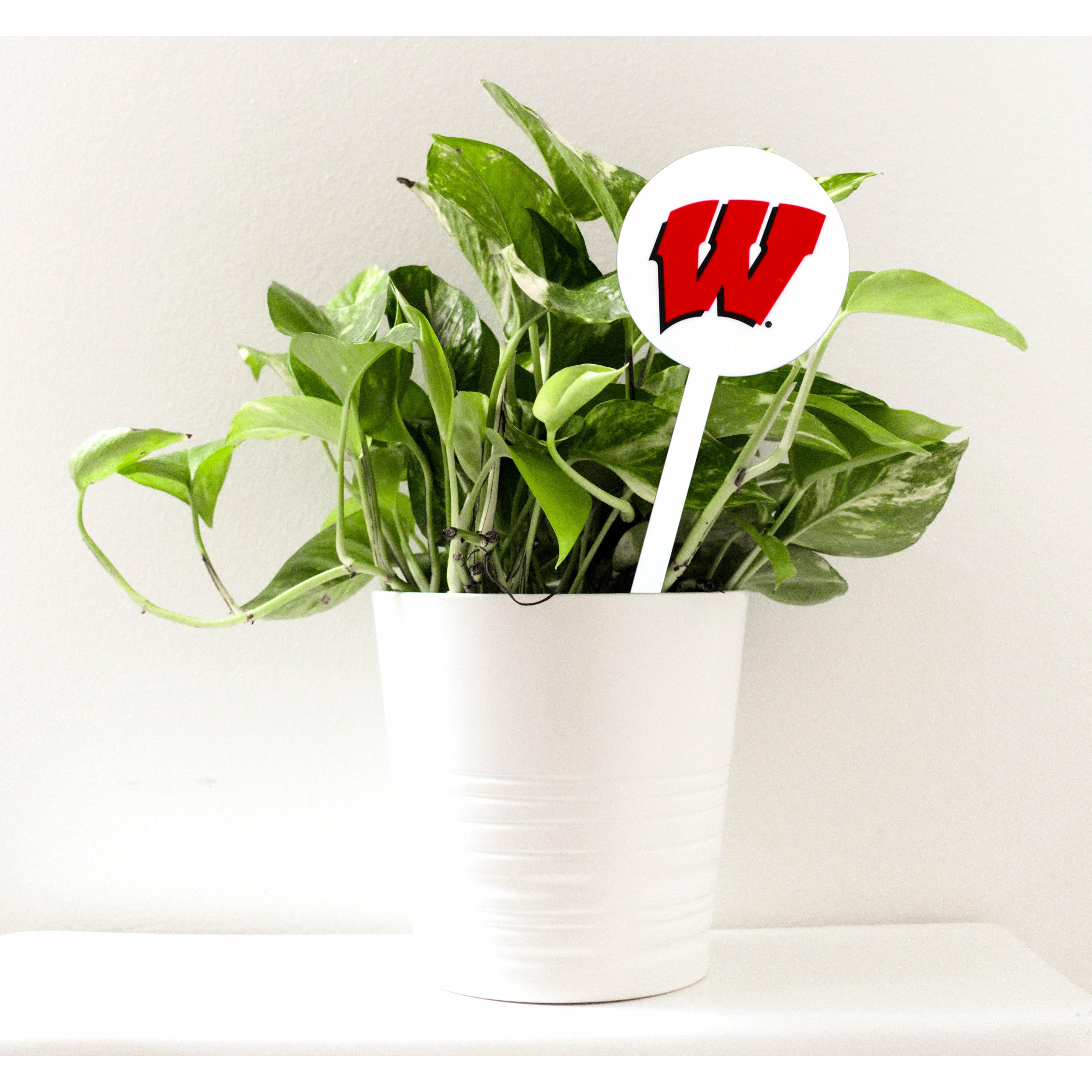 Wisconsin Badgers White Steel Garden Stake