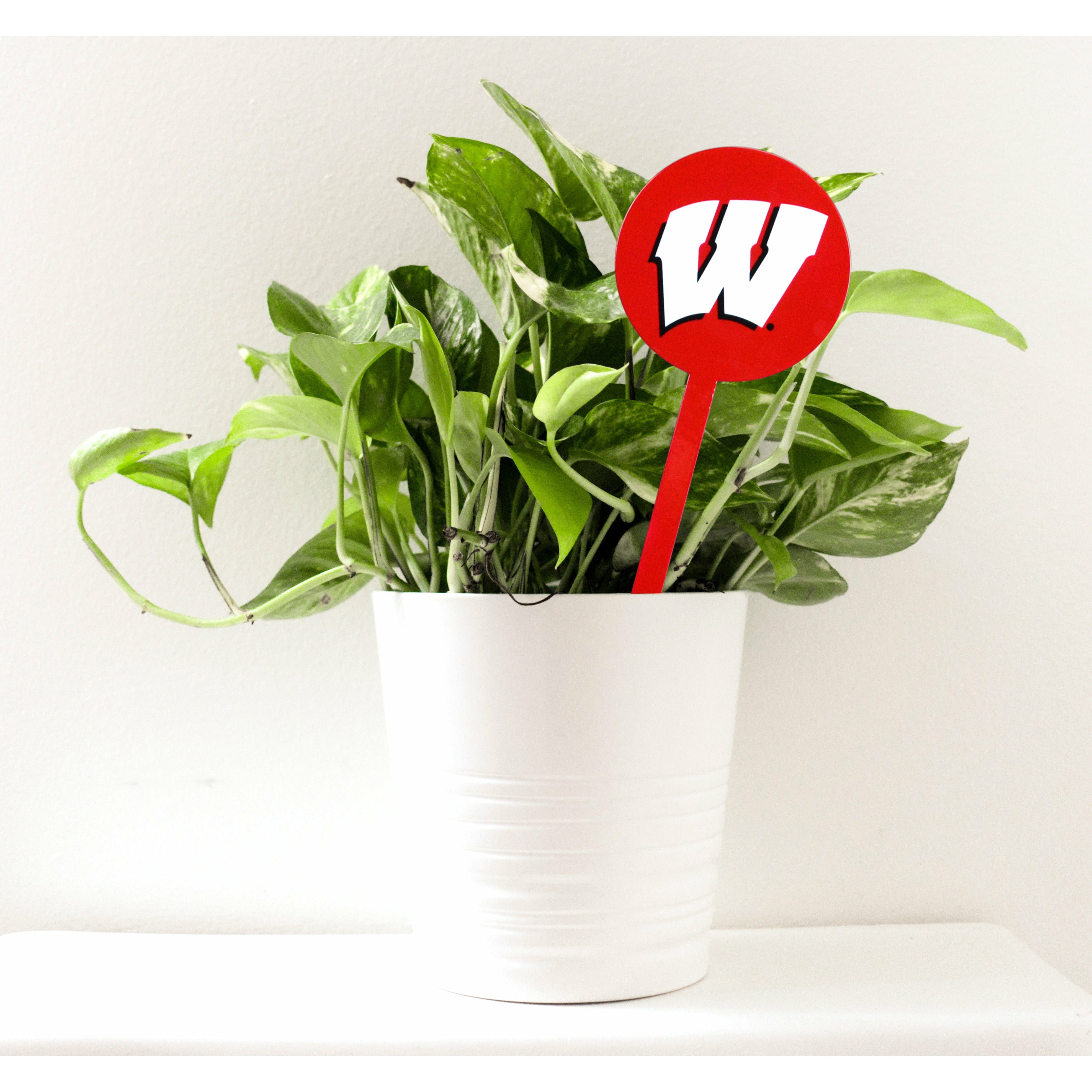 Wisconsin Badgers Red Steel Garden Stake
